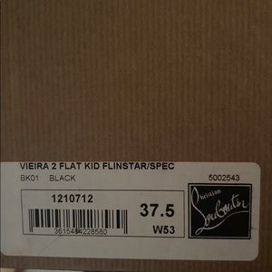 Christian Louboutin shoes